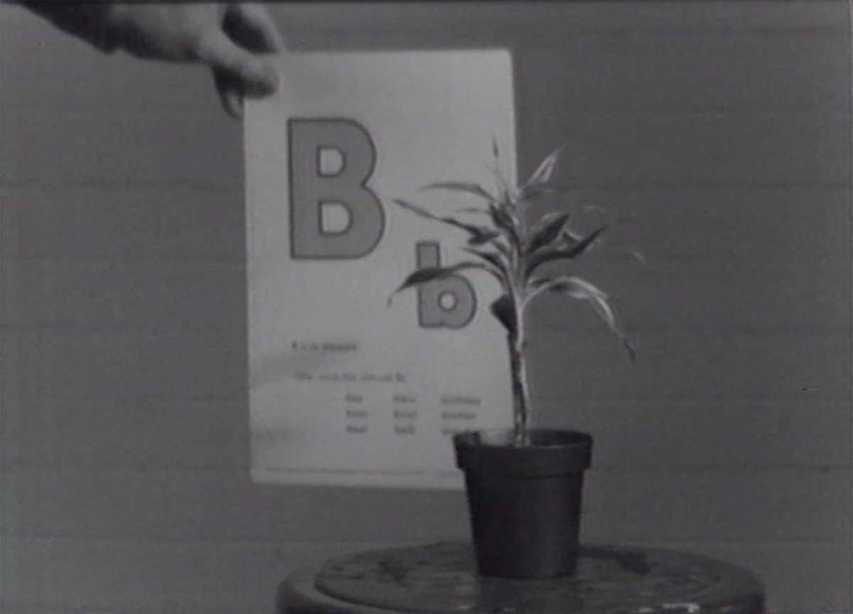 <b>John Baldessari, Teaching a Plant the Alphabet, 1972</b>